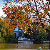 Англия Кембридж осень на реке